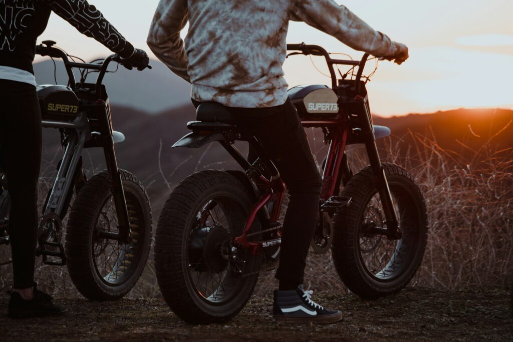 elektrische fiets reviseren